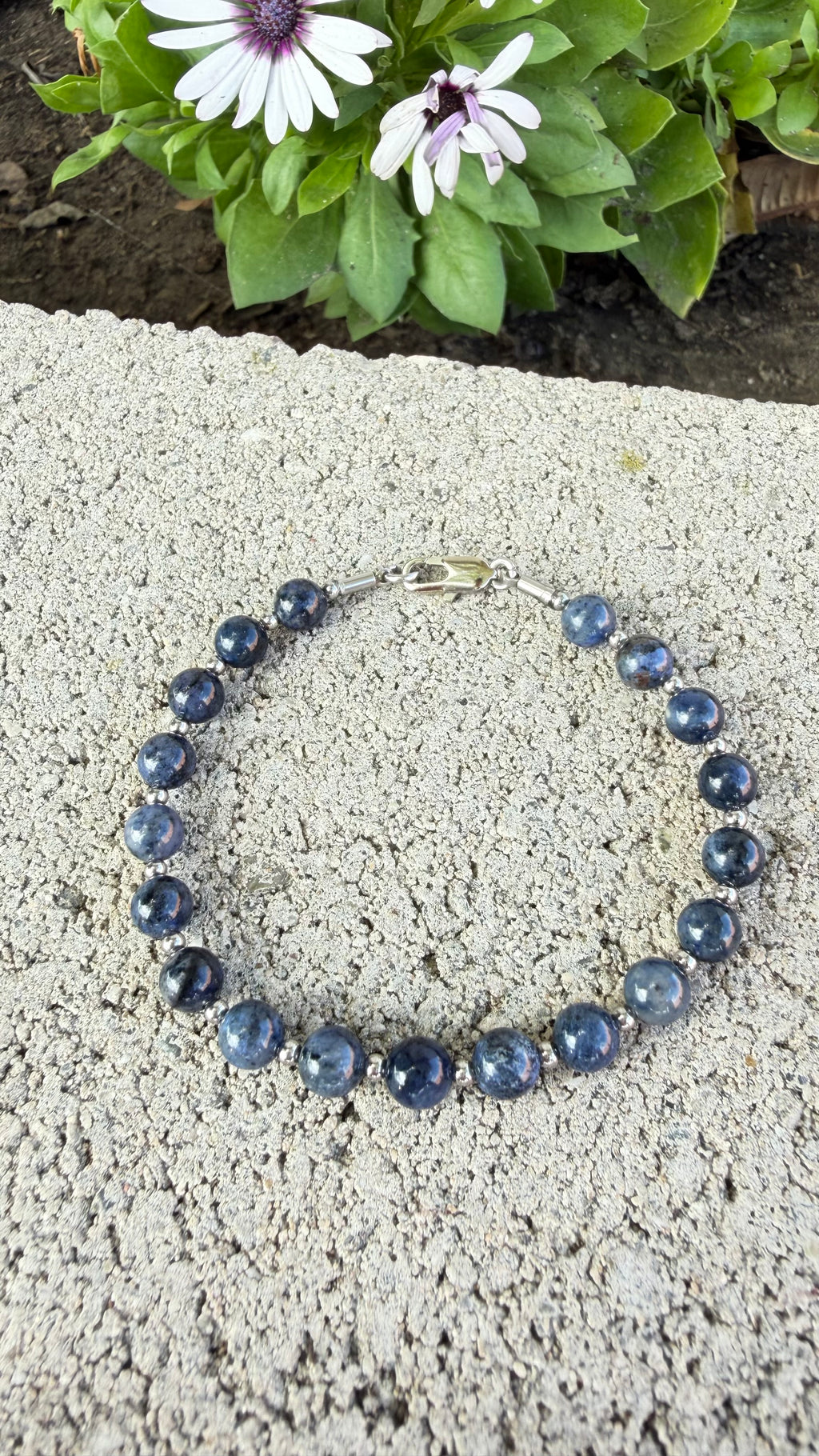 Iolite 6mm Bracelet, with Stainless Steel Lobster Clasp